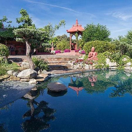 Vila Casa Jardin Oriental Aldea del Fresno Exteriér fotografie