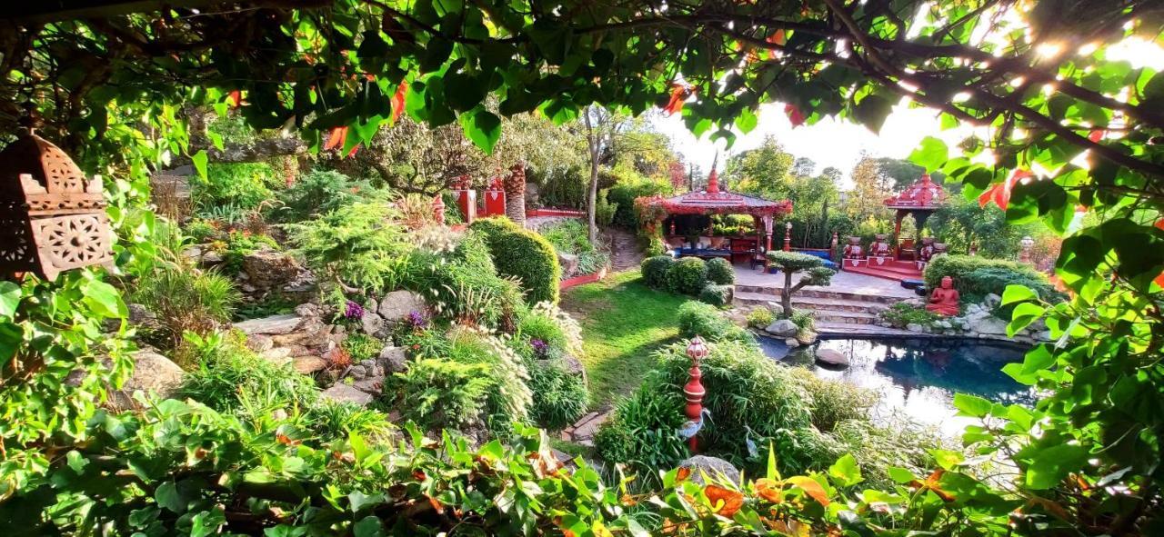 Vila Casa Jardin Oriental Aldea del Fresno Exteriér fotografie